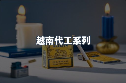越南代工系列